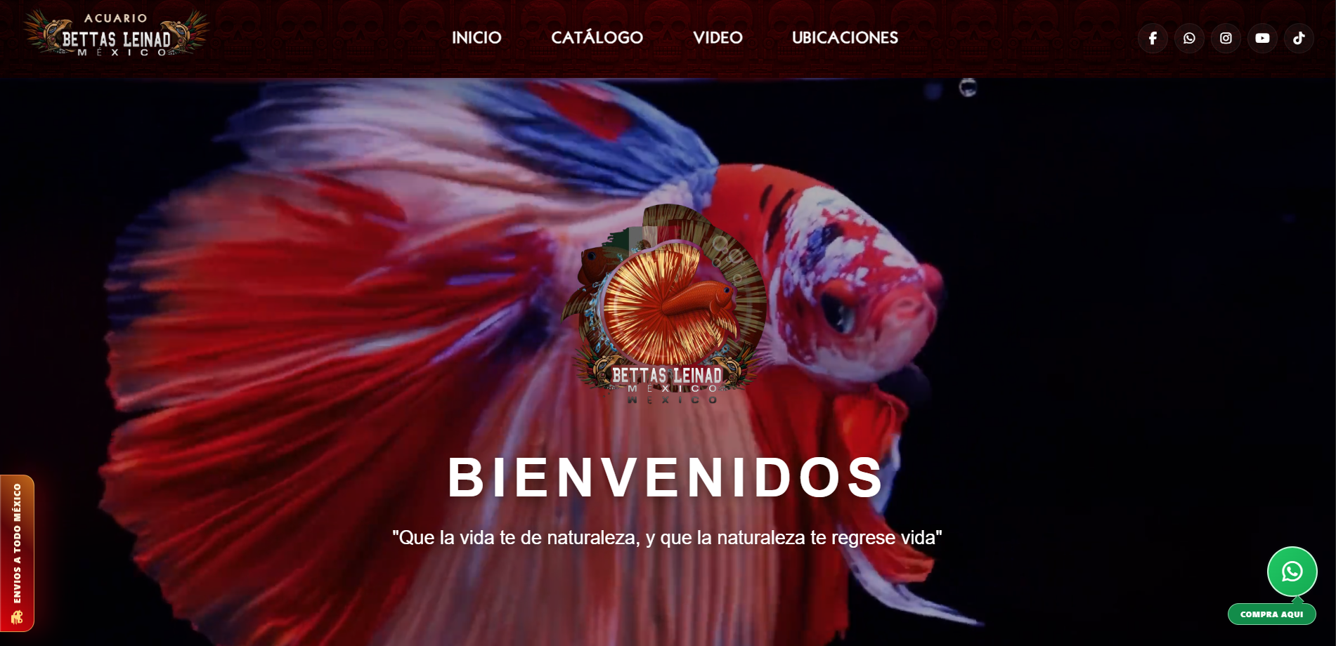 Vista previa del sitio web corporativo de CDC Group